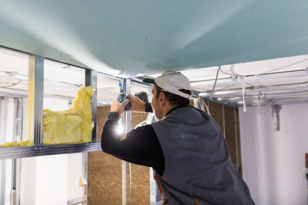 Best Insulation for New Construction  in Saratoga, CA